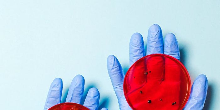 How does tissue geometry influence cancer cellular migration?