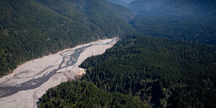 A case for dam removal: Washington's Elwha River