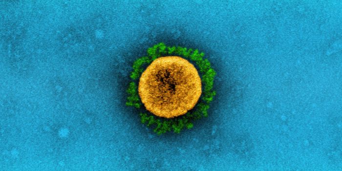 Recognizing the Importance of SARS-CoV-2 'Accessory' Genes