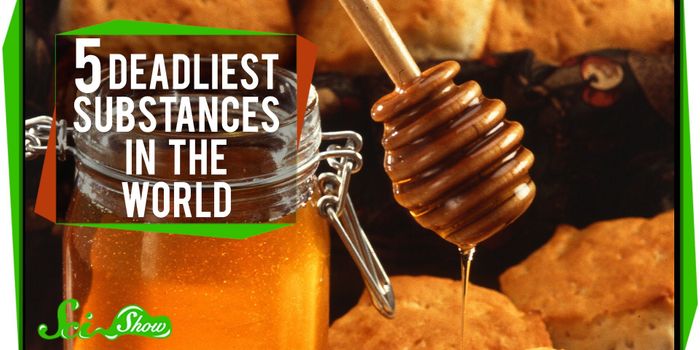 Top 5 Deadliest Substances on Earth