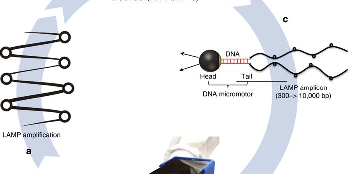 Novel 'Cellphone' Technology Detects HIV