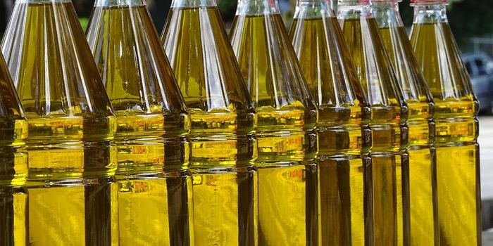 The Ratio of Fats in Diet Has a Significant Effect on Immunity