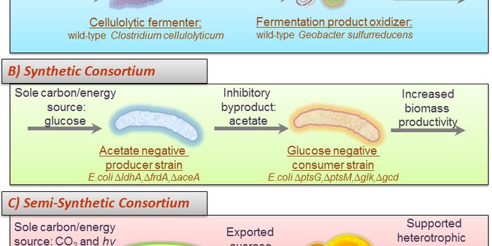 Cells Can Regulate Gene Expression across Multiple Cell Types