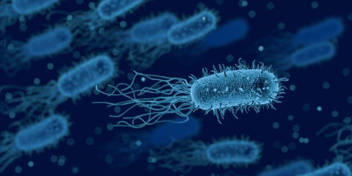 Specific Gut Microbes are Linked to a Significantly Lower Risk of Infection