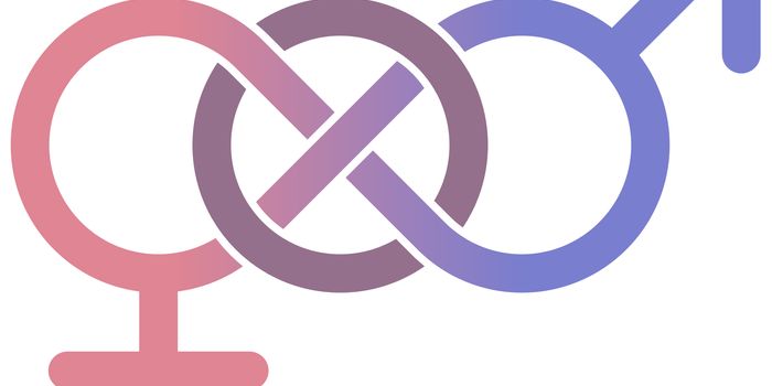 Accounting for Gender Differences in Scientific Research