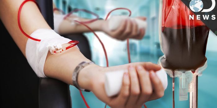 The Science Behind Blood Transfusions