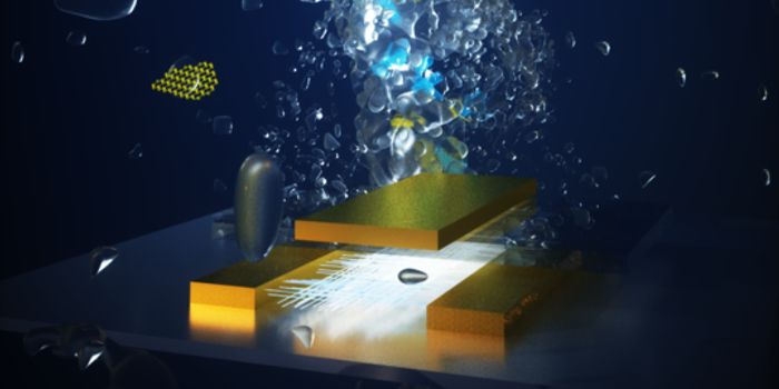 New Recyclable Printed Electronics Use Water Instead of Chemicals