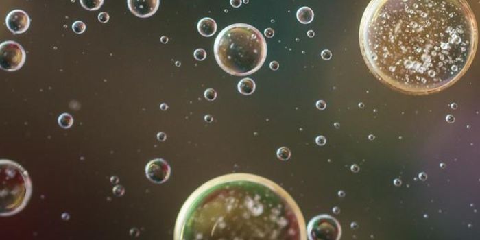 Some Bacteria Can Shed Their Wall When Infected with a Virus