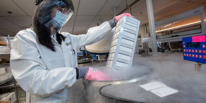 Massive Genetic Study Reveals Risk Factors for Depression