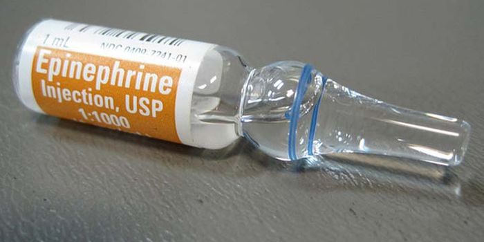 Mast Cells and Allergy Therapies