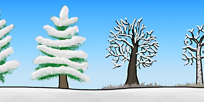 How to survive winter if you're a tree