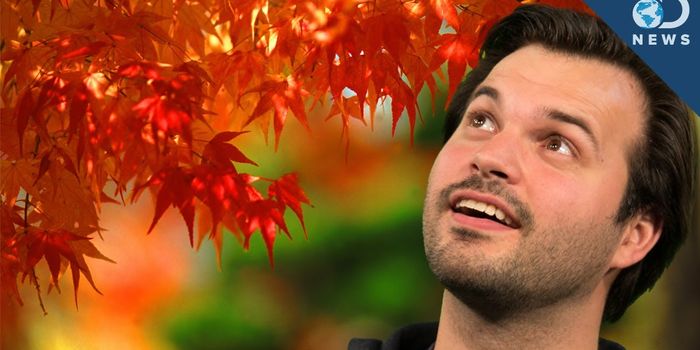 Why do the leaves change color in the fall?