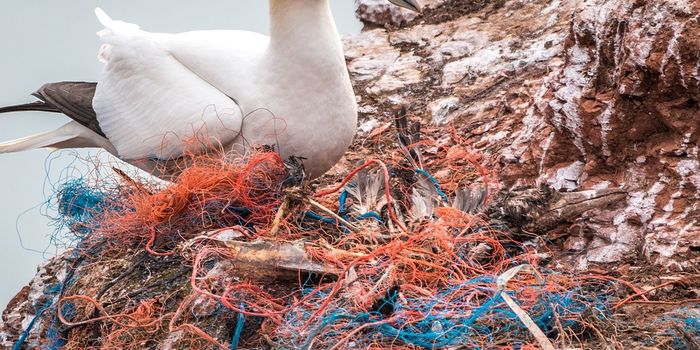 Divers break world record for underwater clean-up