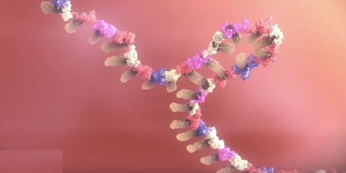 Braveheart RNA Structure is Revealed For the First Time