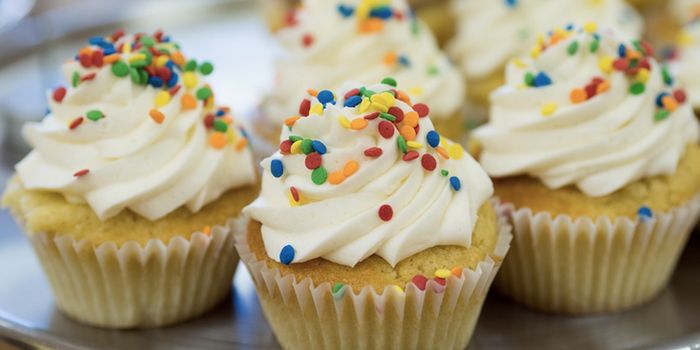 Cold Foods Don't Taste as Good, Even to Flies