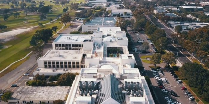 Understanding how the Immune System is Controlled