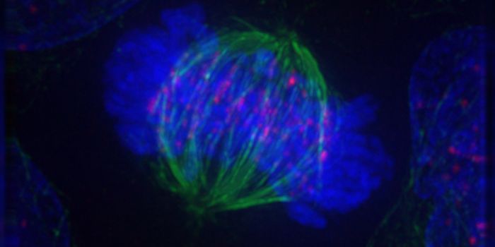 A Newly Identified Function of Ancient Cellular Machinery