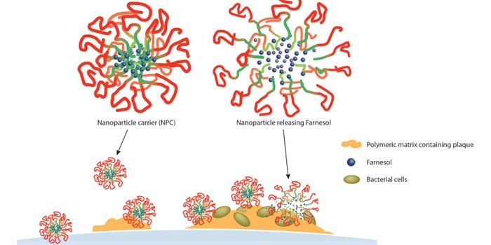 Study Shows New Method of Dental Plaque Drug Delivery