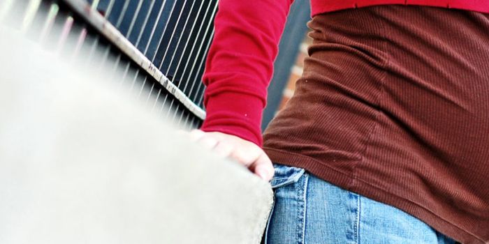 Human antibody protects unborn mice from Zika