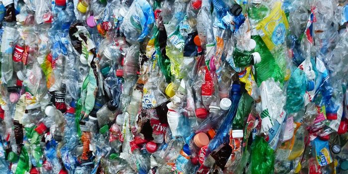 Recycling: can we do it better?