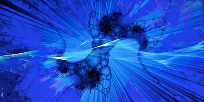 The Paternal Gut Microbiome Can Affect Offspring Health