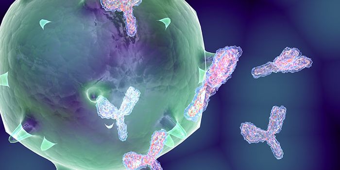 Making More Memory Cells to Boost Vaccine Efficacy