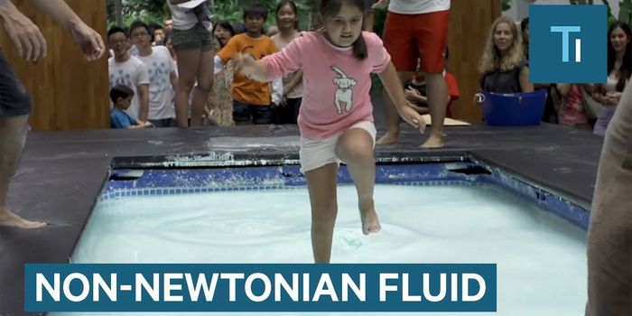 Video: Walking on Water (and Cornstarch)