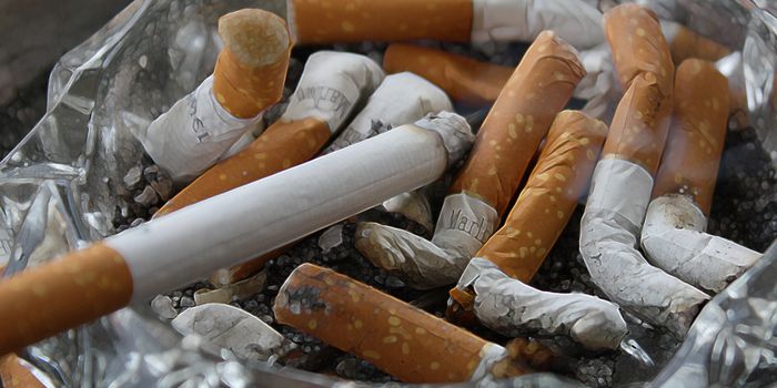 Early Diagnosis of Lung Cancer Increases