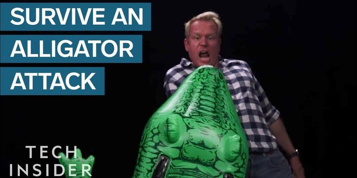 Tips for Surviving An Alligator Attack