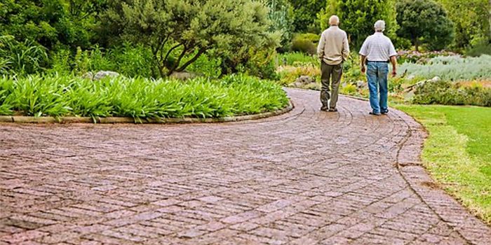 Lower Physical Function Is Associated with Heart Risks in Older Adults