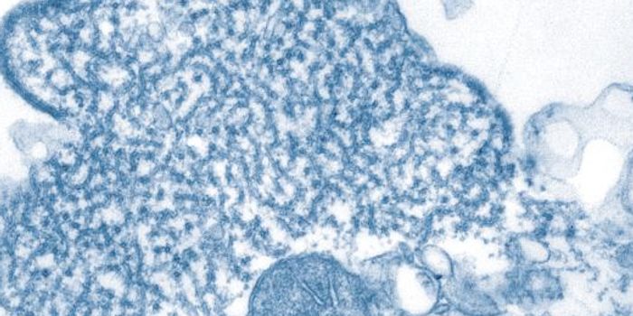 Global Coalition Targets Three Viruses
