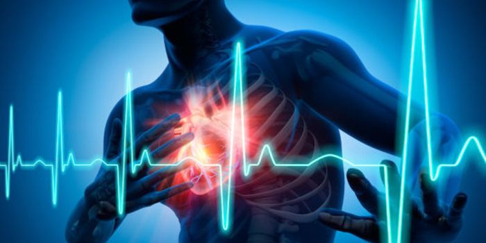 Injectable Hydrogel Found Safe for Heart Repair
