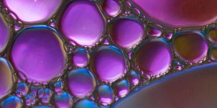 Gut Immune Cells Migrate to Brain & Are Linked to Alzheimer's