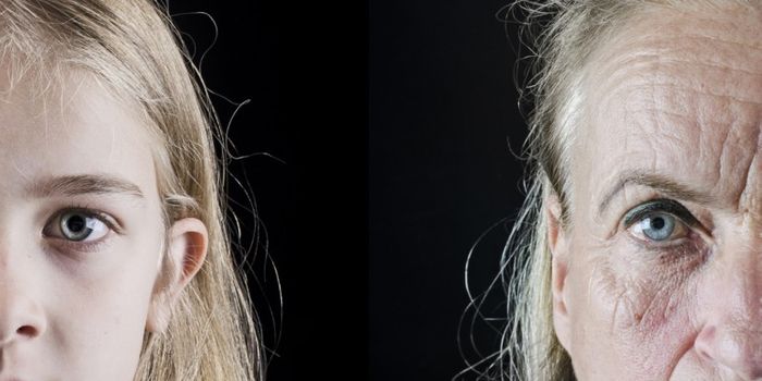 Role Of Choroid Plexus Protein Klotho In Aging