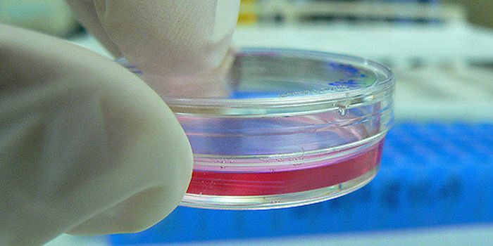 Genetically Engineered Cells Cure Infants of Cancer