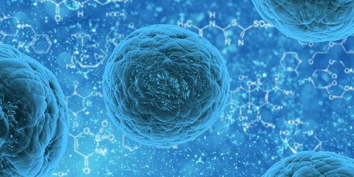 Revealing a Major Regulator of Aging