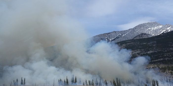 Fire Season in the Far North? The Wildfires of Siberia
