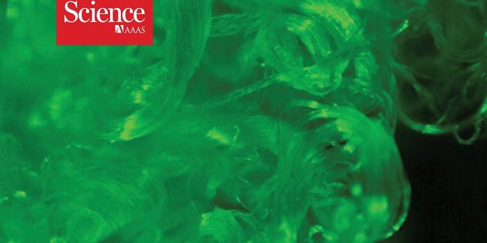 Plants That Grow Glow-in-the-Dark Cotton