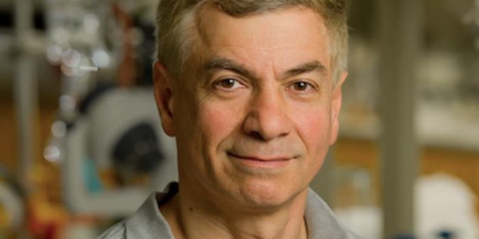 Learning how Bacteria Recover After Antibiotic Exposure