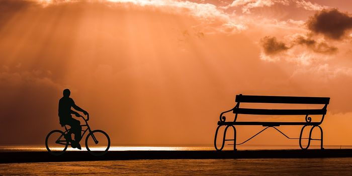 Physical Activity More Important Than Weight Loss for Heart Health