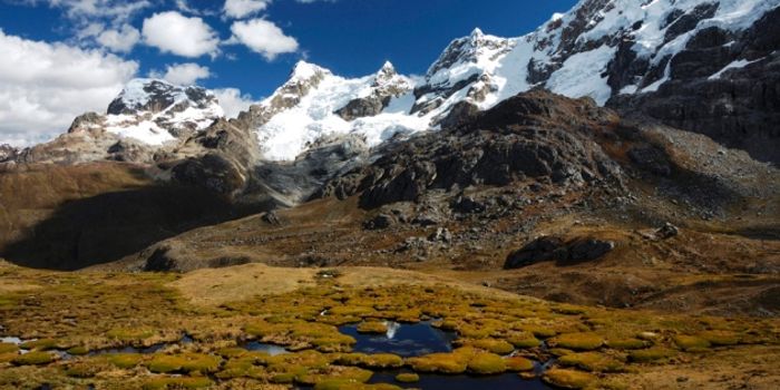 Humans lived permanently in the Andes as early as 7,000 years ago