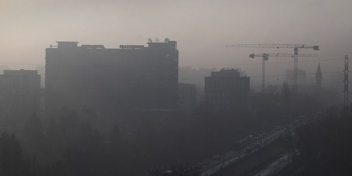 Long-term Air Pollution Exposure Disrupts Immunity & Lymph Nodes