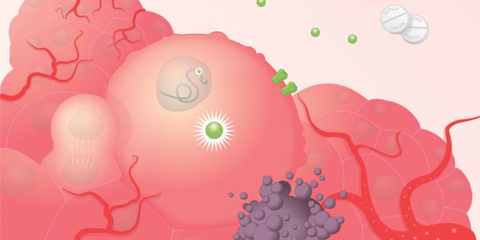 Anti-inflammatory Drug Works Like an Inhibitor