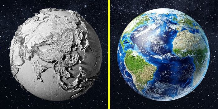 Just How Long Can We Survive Without the Sun?