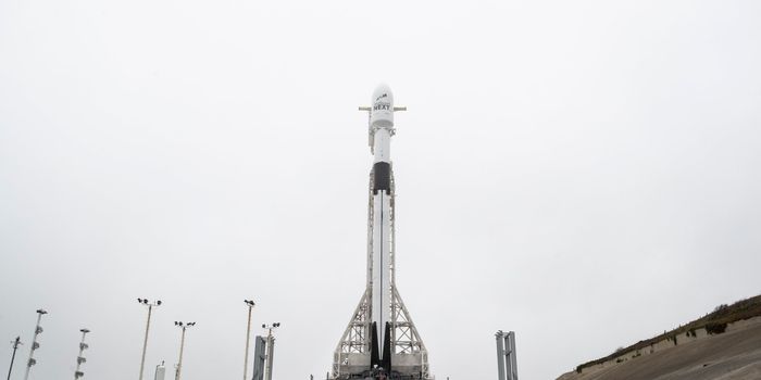 SpaceX Flies Ten More Satellites Into Space for Iridium