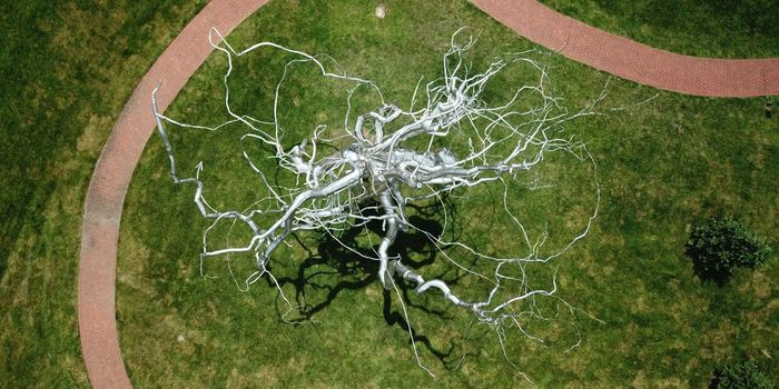 Inhibiting Enzyme Shows Promise in Halting Parkinson's