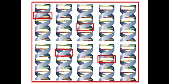 Don't know much about exome sequencing? 