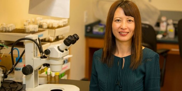 Researchers Identify a Molecular Mechanism Underlying Parkinson's