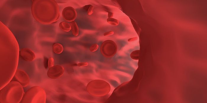 Scientists Discover a Cell That Can Promote Blood Vessel Formation