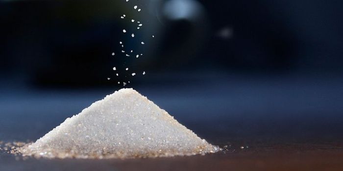 Sugar Absorption Drives Cyst Growth in Polycystic Kidney Disease